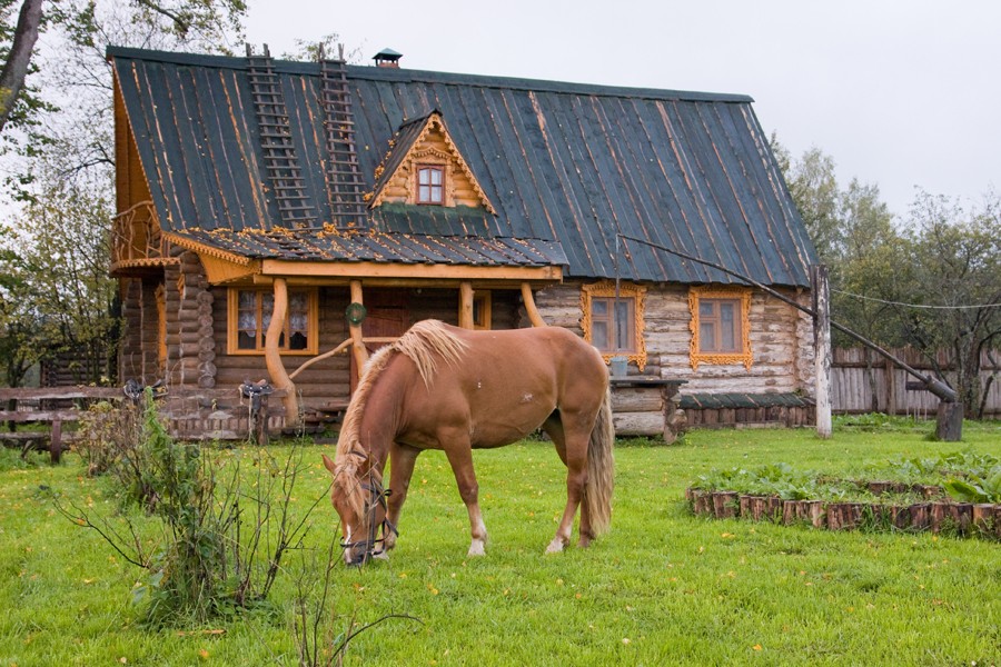 с.Износки - фото - 10